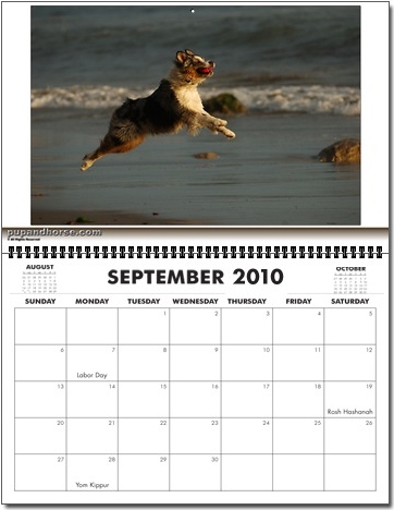 Pet Portrait Holiday Calendar