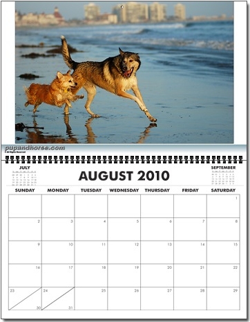 Pet Portrait Photography Calendar